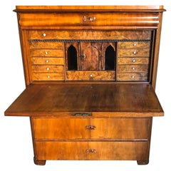 Biedermeier Schreibtisch Chiffonier Secrétaire Kabinett Schwedisch Ormolu Detail A