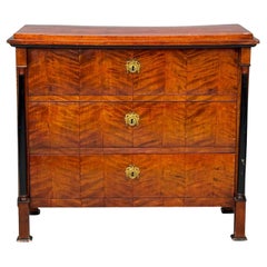 Biedermier, Cherry Wood, Bronze, Ebonized Wood, Cabinet, Germany, 19th c.