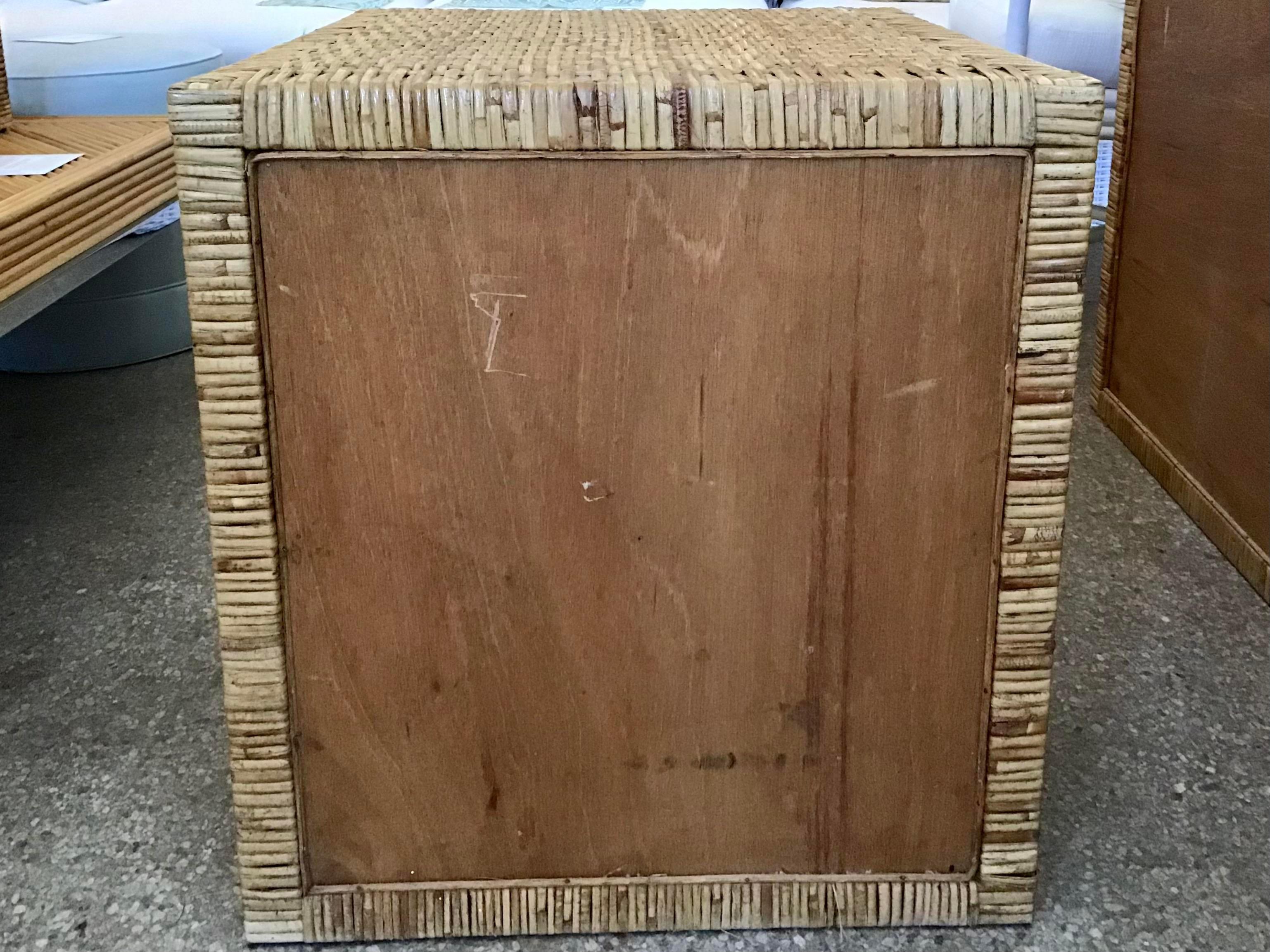 Bielecky Brothers Boho Chic Rattan Two Door Cabinet 4