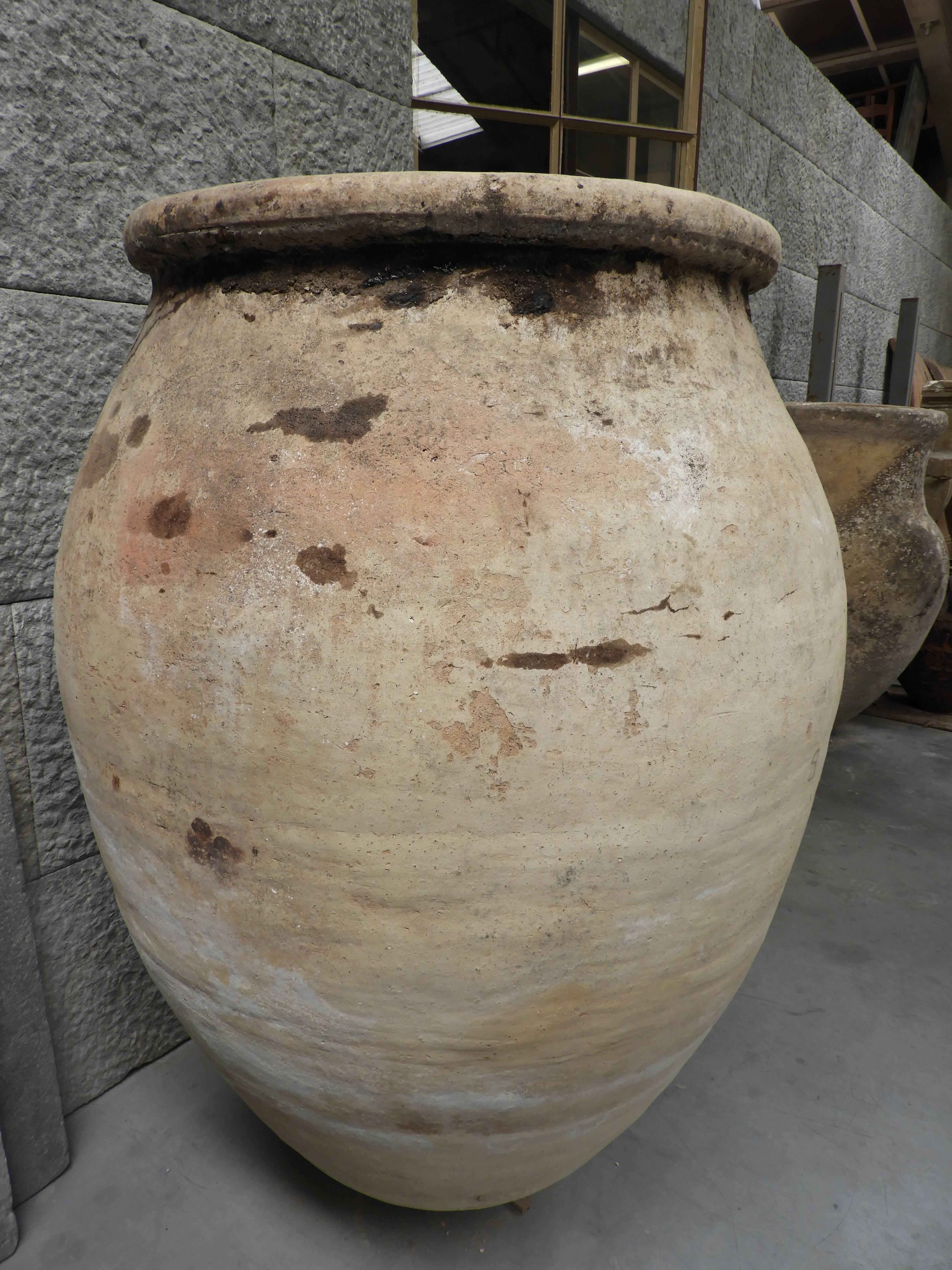 Other Big 20th Century Spanish Olive Jar For Sale