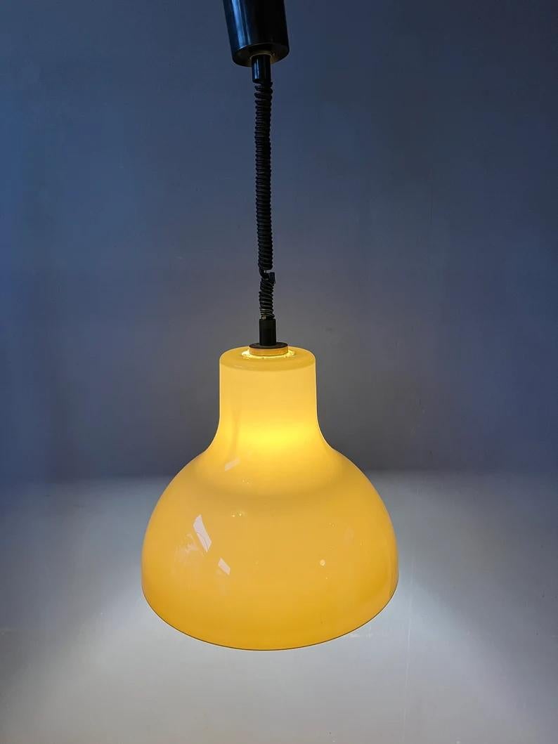 Big Acrylic Glass Space Age Pendant Light, 1970s In Good Condition For Sale In ROTTERDAM, ZH