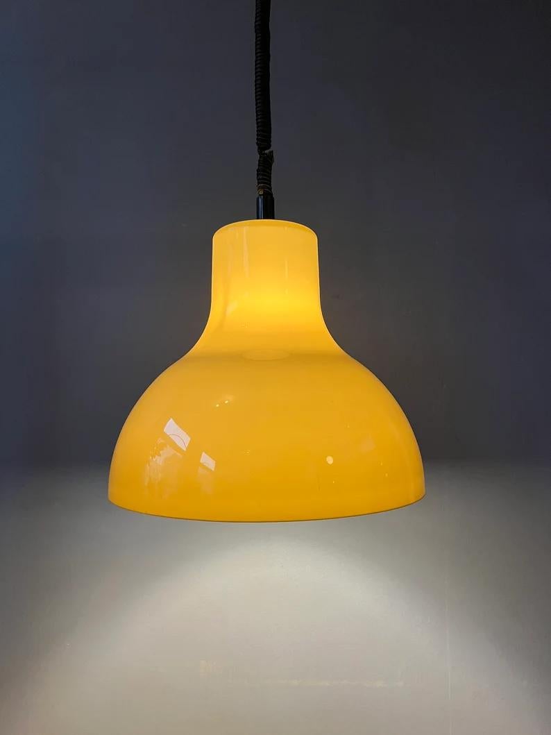 20th Century Big Acrylic Glass Space Age Pendant Light, 1970s For Sale
