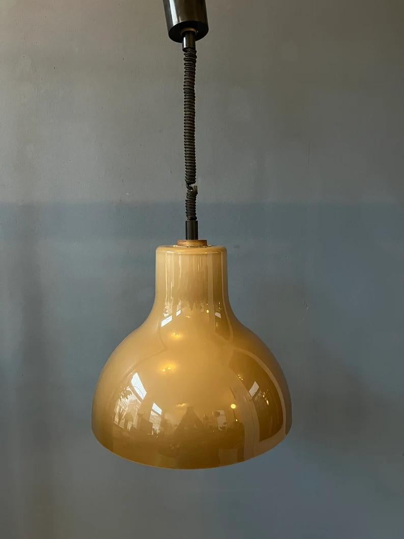 Big Acrylic Glass Space Age Pendant Light, 1970s For Sale 1