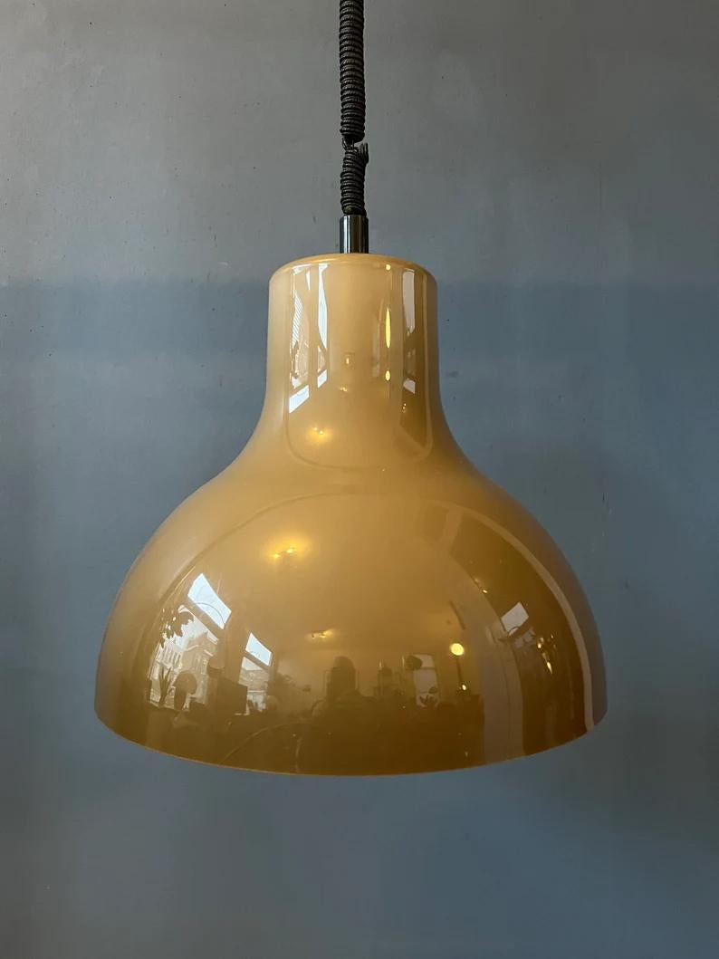 Big Acrylic Glass Space Age Pendant Light, 1970s For Sale 2