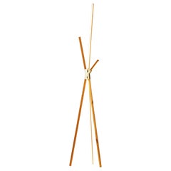 Big Bang Heart Pine Wood and Brass-Plated Steel Led Floor Lamp by Stickbulb