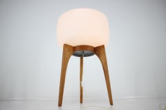 Big Beautiful Design Floor Lamp by ULUV, 1960