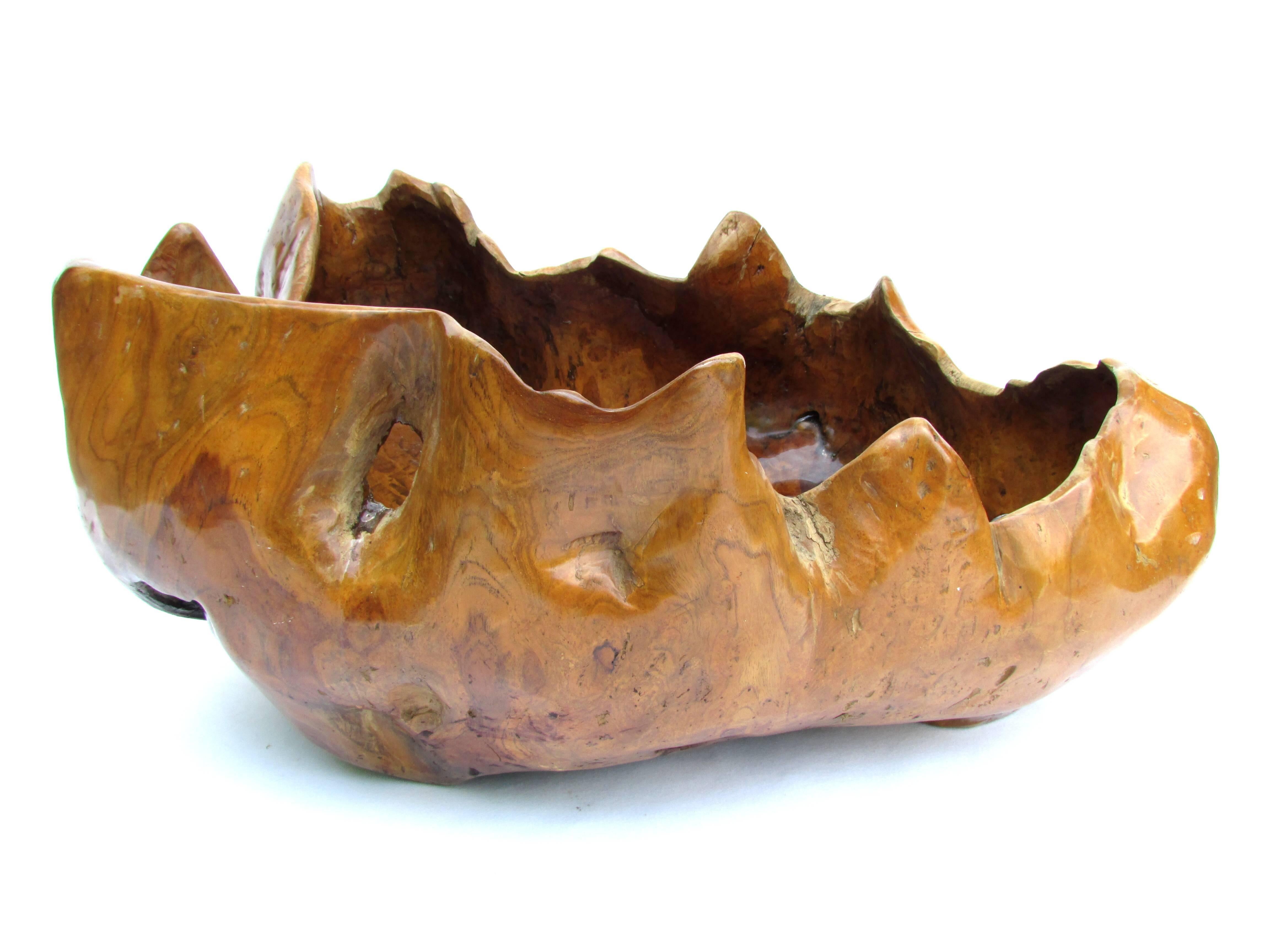 Very large burl wood bowl great for holding collections or flowers originally was part of a fountain.