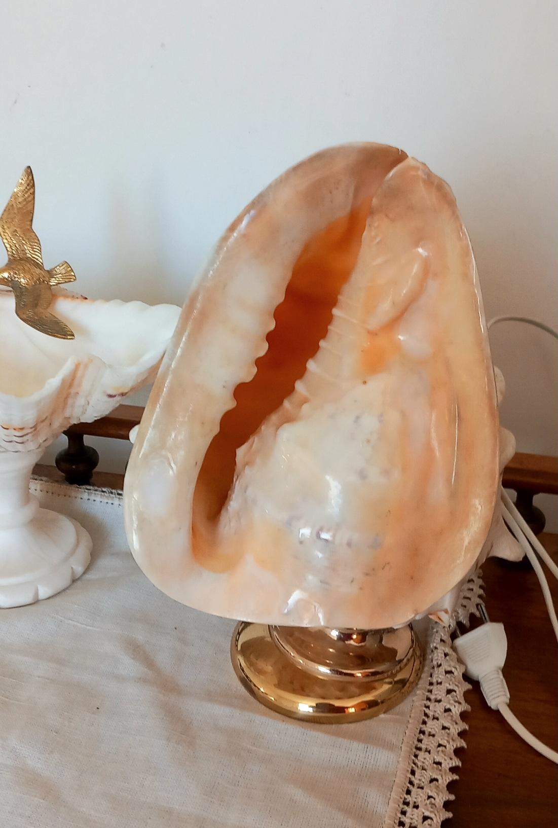 Big Clam Shell Natural Specimen  With Brass Pedestal. Iluminated For Sale 5