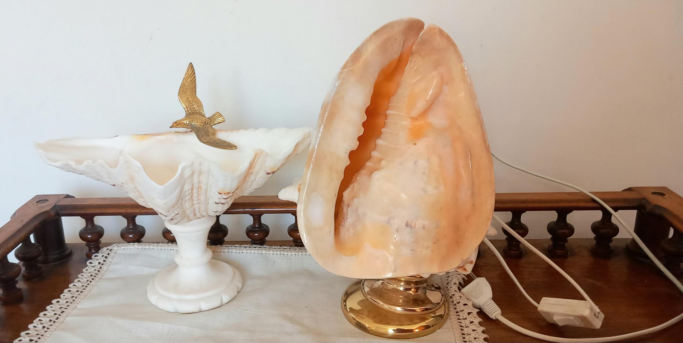 Big Clam Shell Natural Specimen  With Brass Pedestal. Iluminated For Sale 7