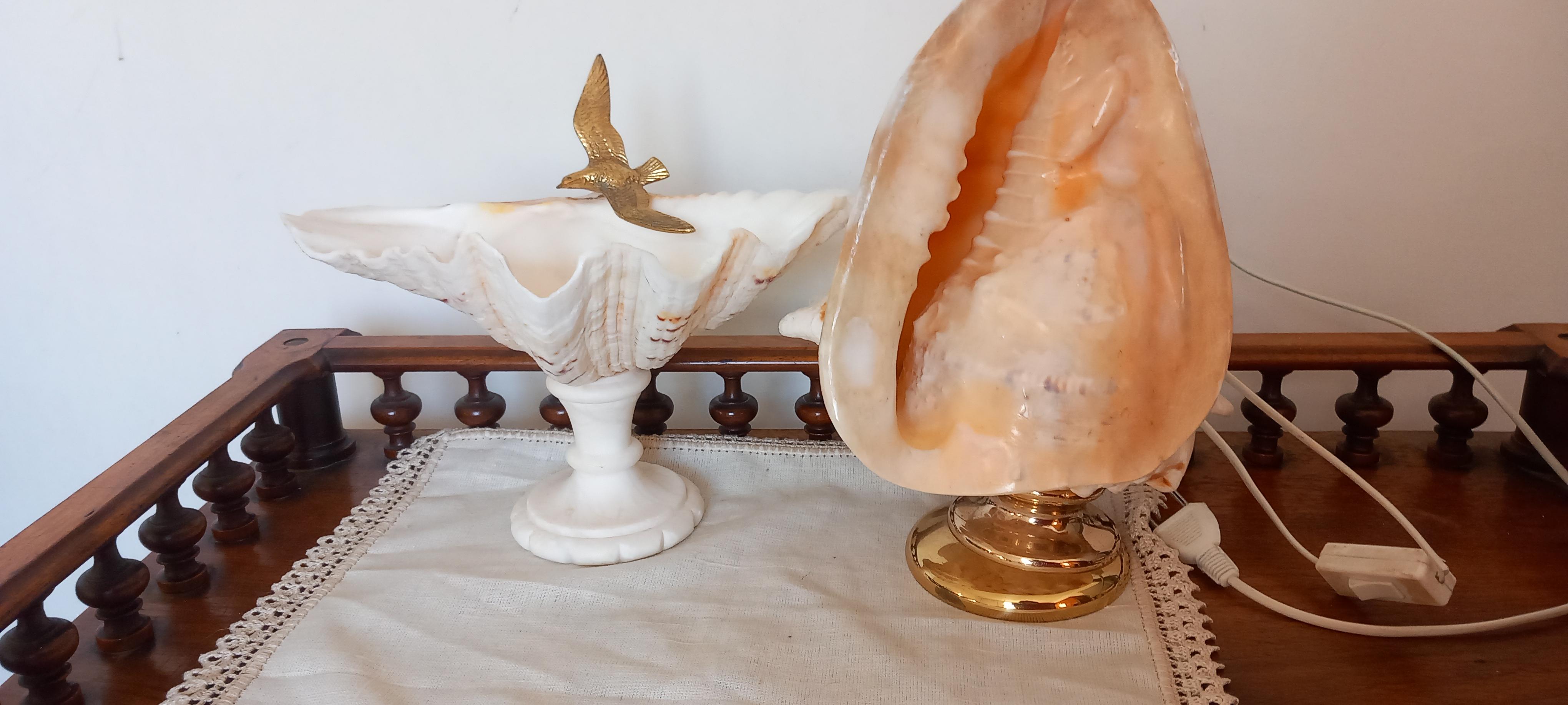 Big Clam Shell Natural Specimen  With Brass Pedestal. Iluminated For Sale 8