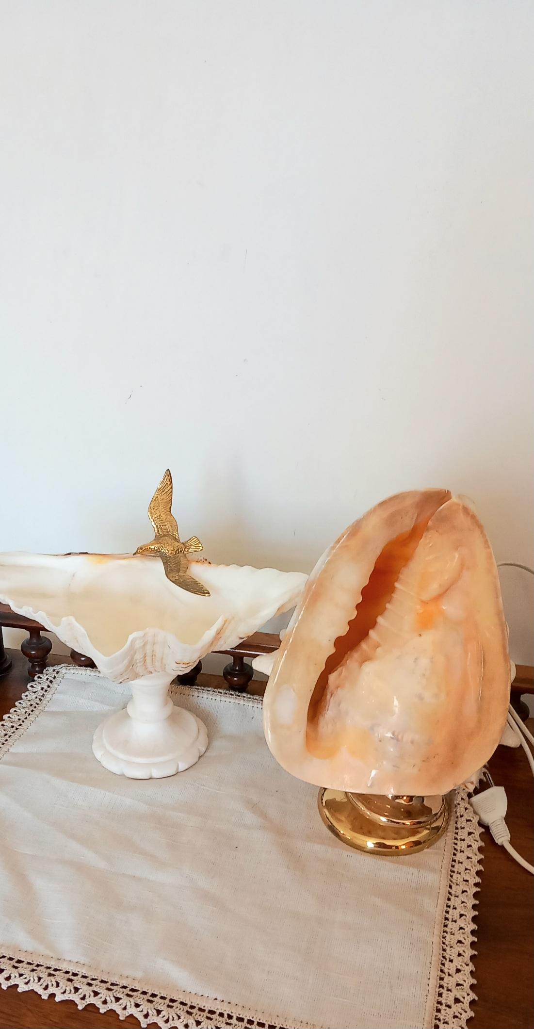 Big Clam Shell Natural Specimen  With Brass Pedestal. Iluminated For Sale 9