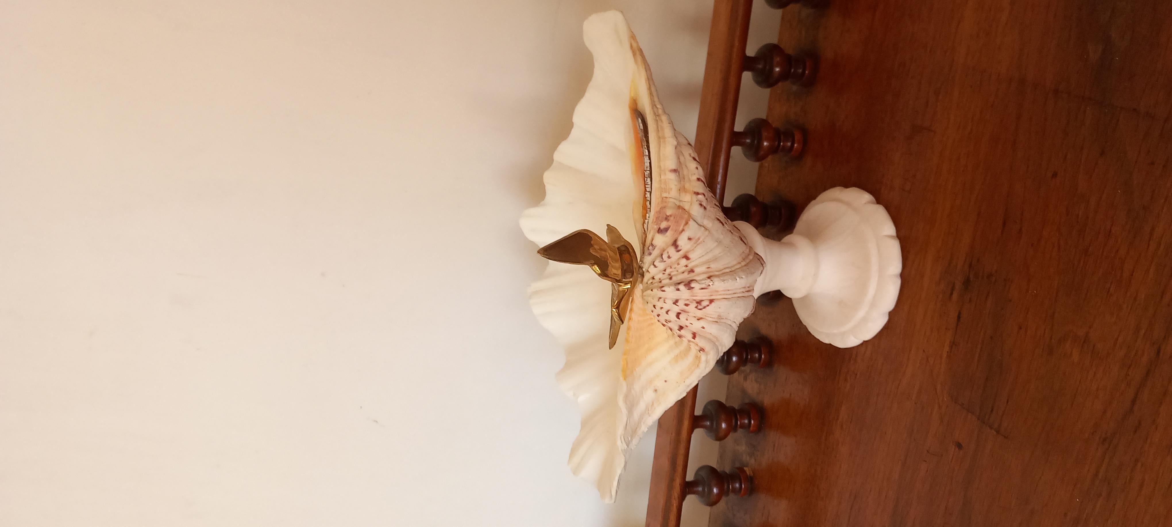  Muschel Natürliches Exemplar  Mit weißem Marmorsockel aus Bronze, Vogel kann entfernt werden im Angebot 4
