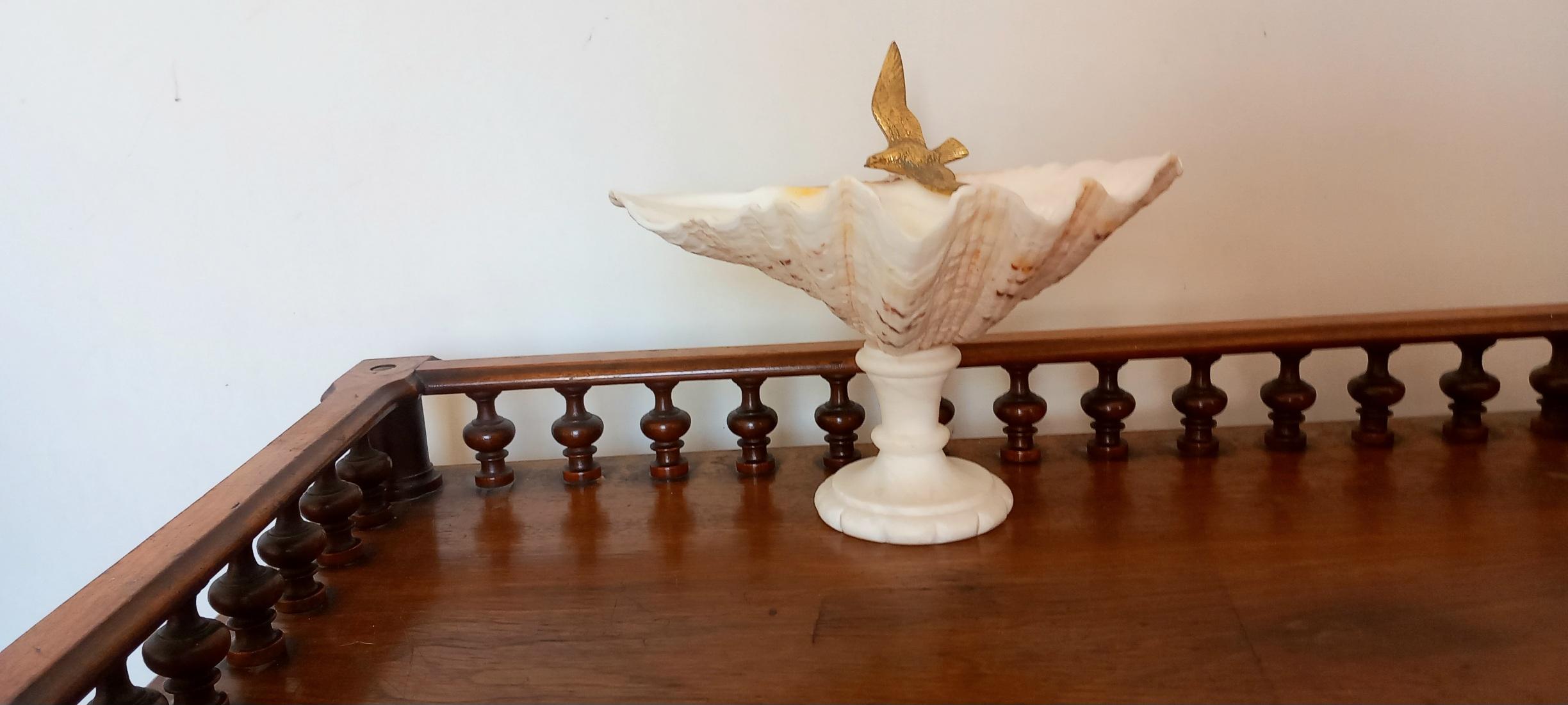  Shell Natural Specimen  With White Marble Pedestal Bronze Bird Can Be Removed For Sale 5