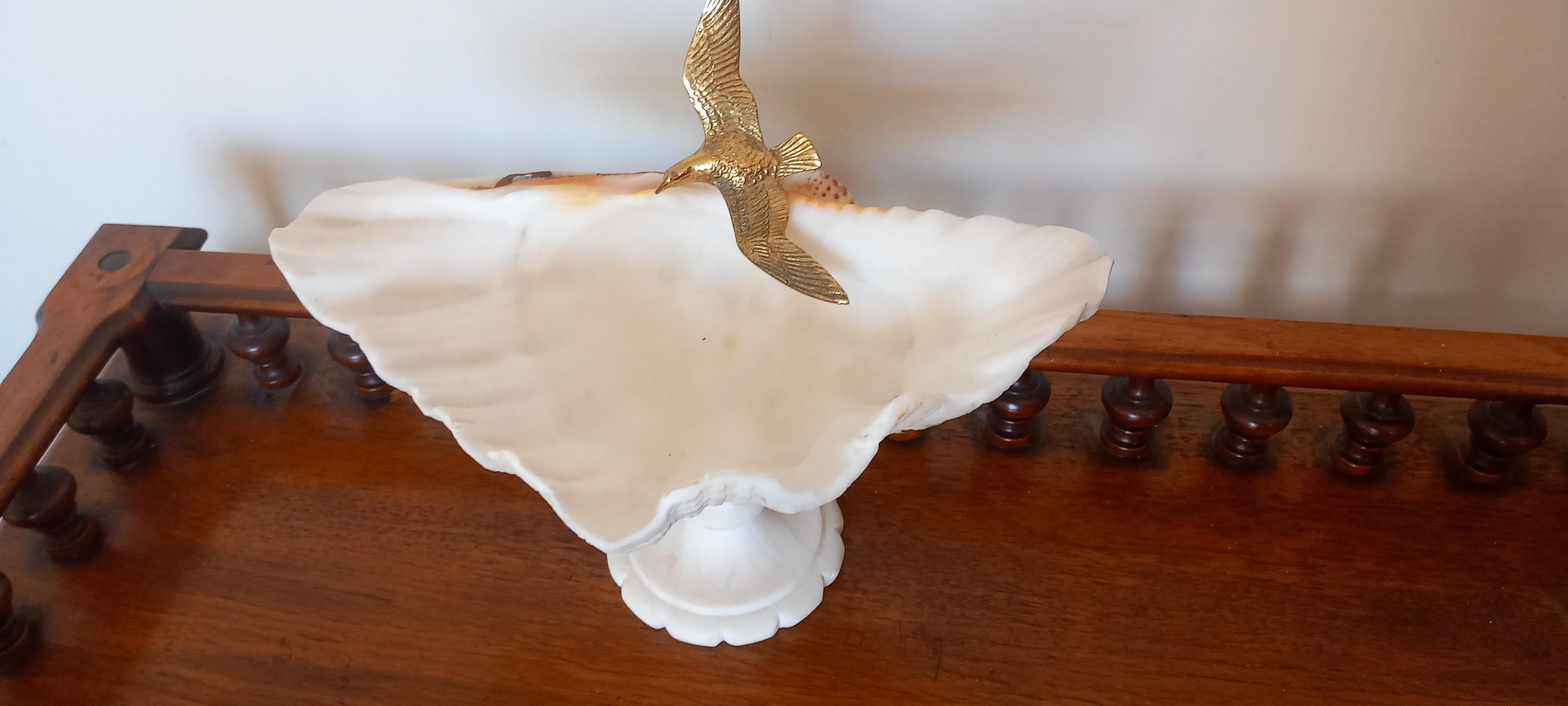  Shell Natural Specimen  With White Marble Pedestal Bronze Bird Can Be Removed For Sale 6