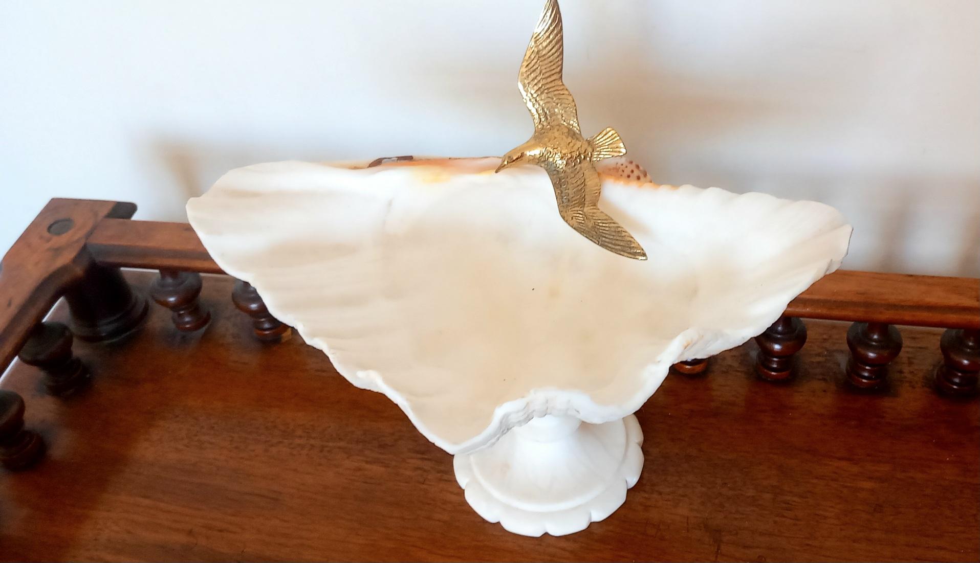 Shell Natural Specimen  With White Marble Pedestal Bronze Bird Can Be Removed For Sale 7