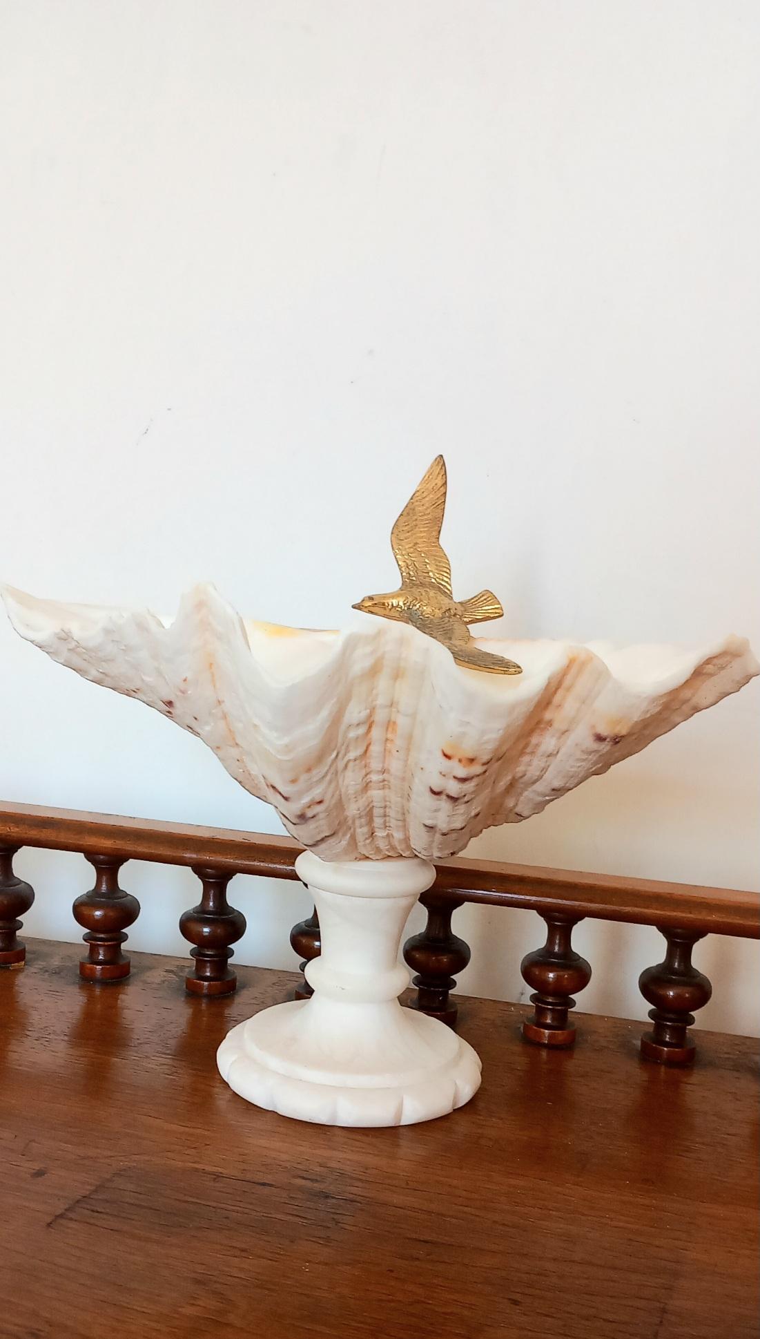  Muschel Natürliches Exemplar  Mit weißem Marmorsockel aus Bronze, Vogel kann entfernt werden im Angebot 8