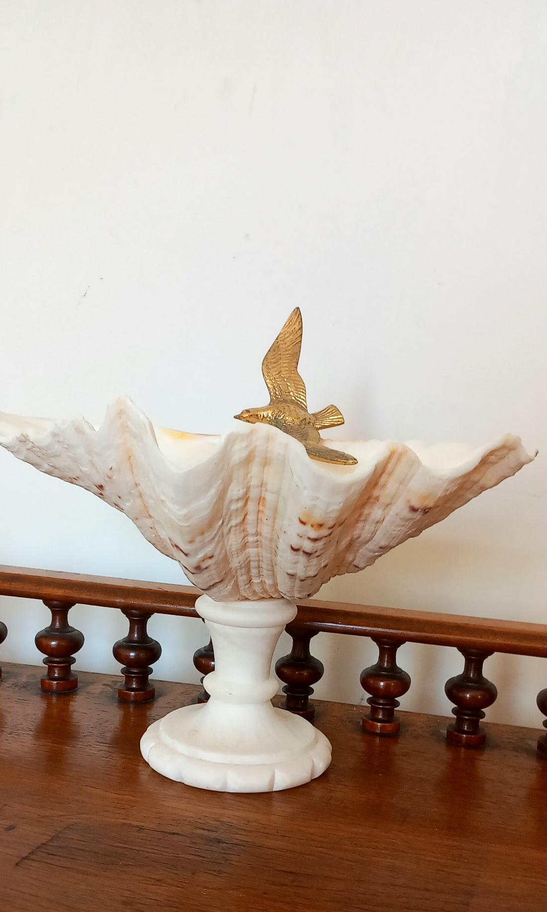  Muschel Natürliches Exemplar  Mit weißem Marmorsockel aus Bronze, Vogel kann entfernt werden im Angebot 9