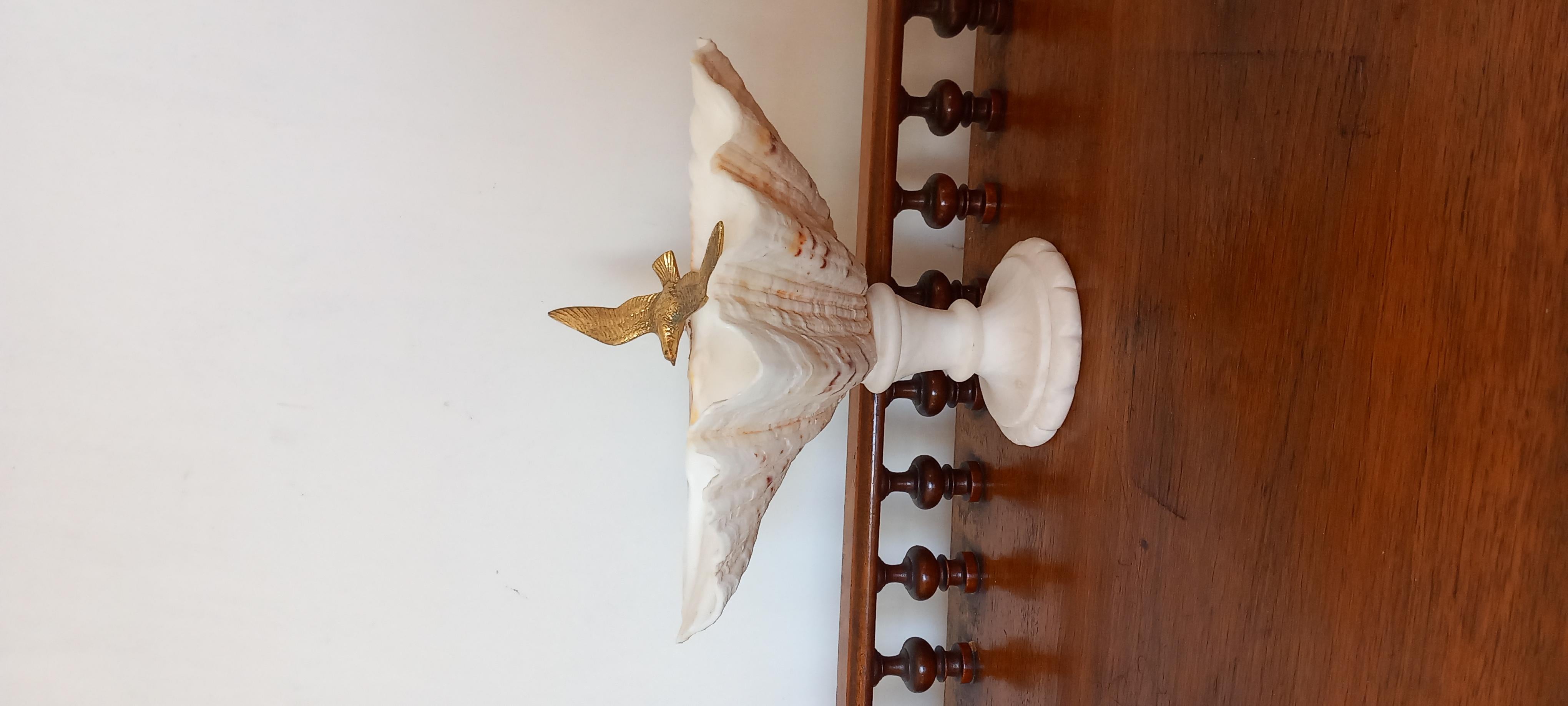  Shell Natural Specimen  With White Marble Pedestal Bronze Bird Can Be Removed For Sale 10