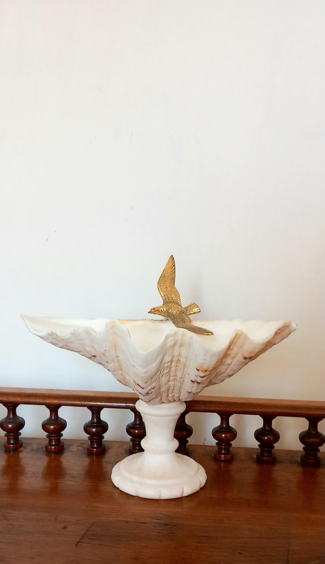  Shell Natural Specimen  With White Marble Pedestal Bronze Bird Can Be Removed For Sale 11