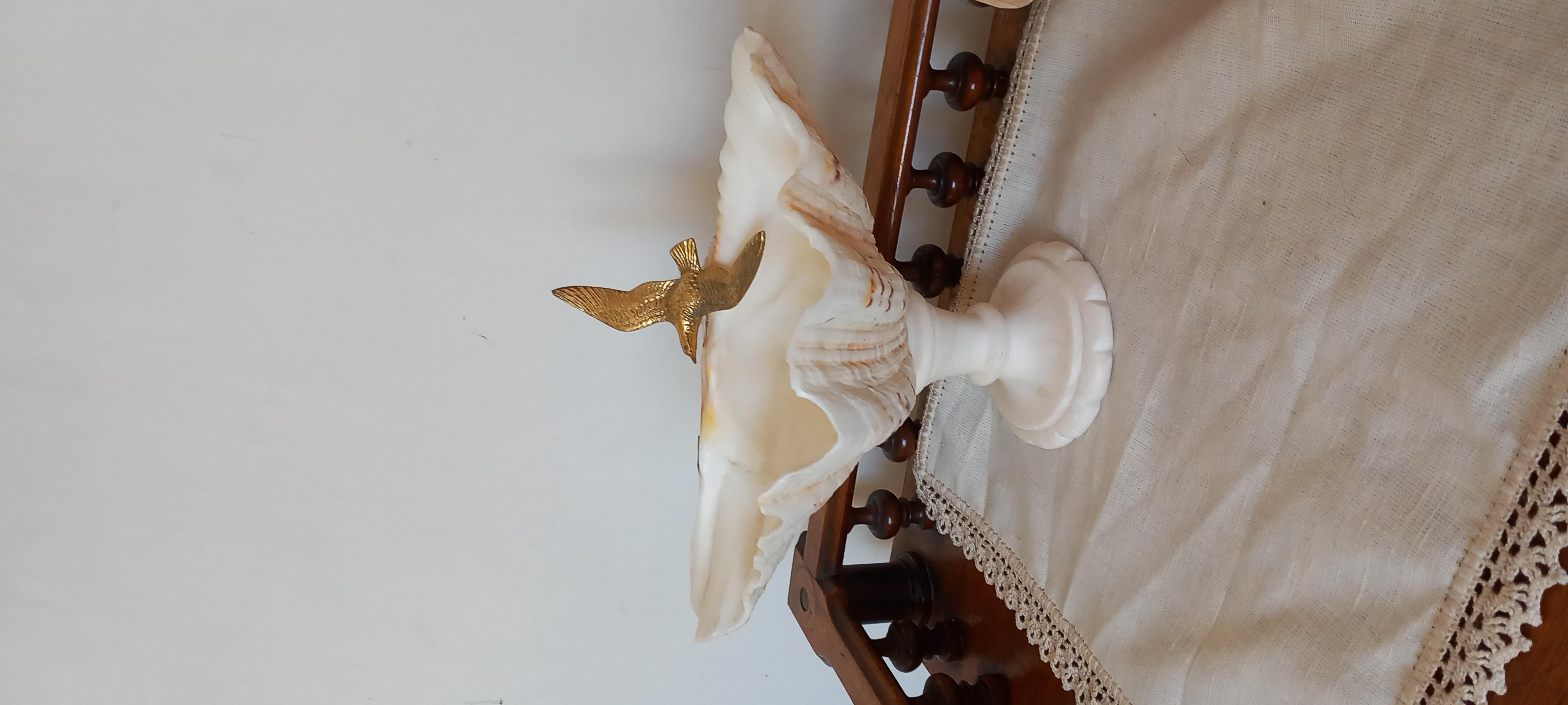 Spécimen naturel de coquillage  Avec piédestal en marbre blanc, oiseau en bronze peut être retiré en vente 11