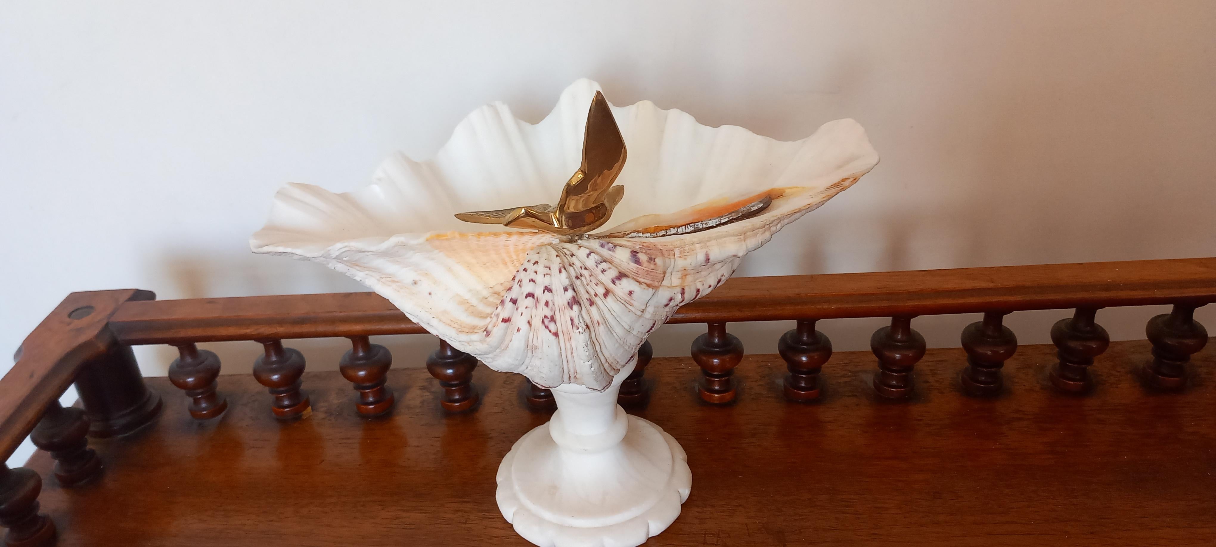 Beautiful and elegant shell on pure white marble pedestal
  It has an ornament of a bronze bird, but you can remove it if you don't like it and leave the shell alone.
Its condition is excellent, both the shell and the pedestal.
It is ideal as a gift