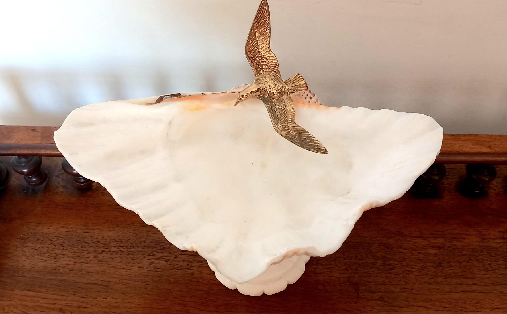  Muschel Natürliches Exemplar  Mit weißem Marmorsockel aus Bronze, Vogel kann entfernt werden (Sonstiges) im Angebot
