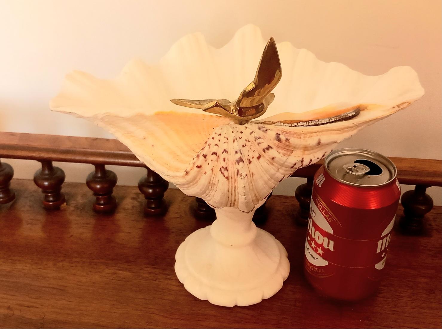  Muschel Natürliches Exemplar  Mit weißem Marmorsockel aus Bronze, Vogel kann entfernt werden (Italienisch) im Angebot