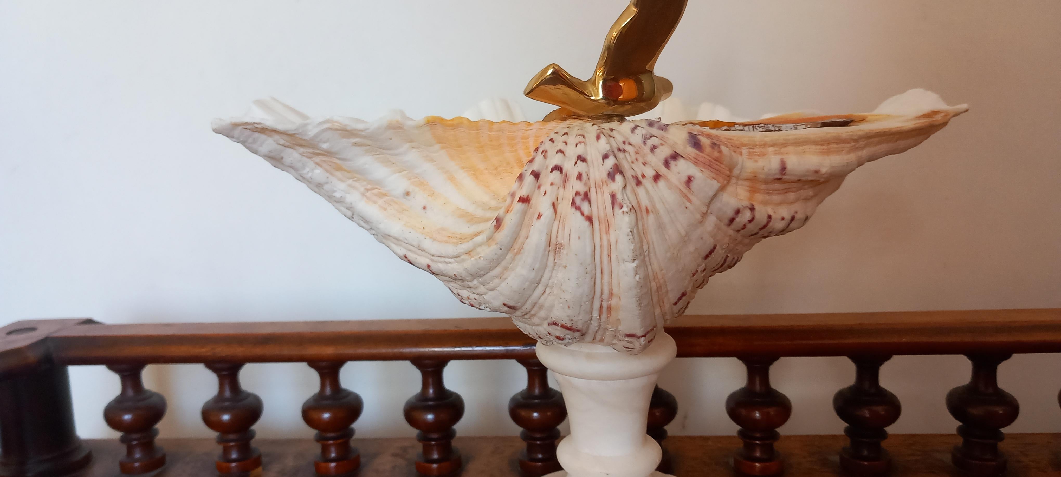 Late 20th Century  Shell Natural Specimen  With White Marble Pedestal Bronze Bird Can Be Removed For Sale
