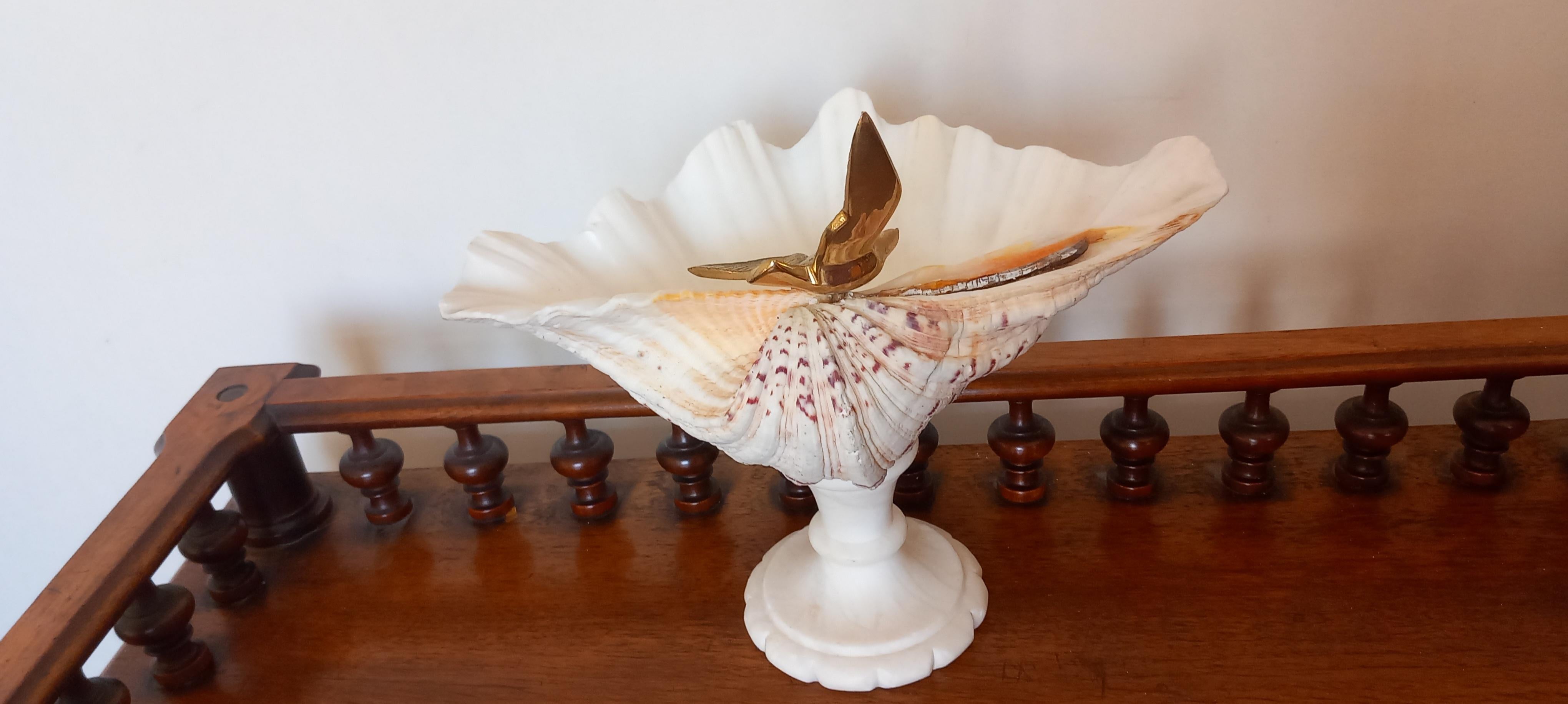 Coquillage  Spécimen naturel de coquillage  Avec piédestal en marbre blanc, oiseau en bronze peut être retiré en vente
