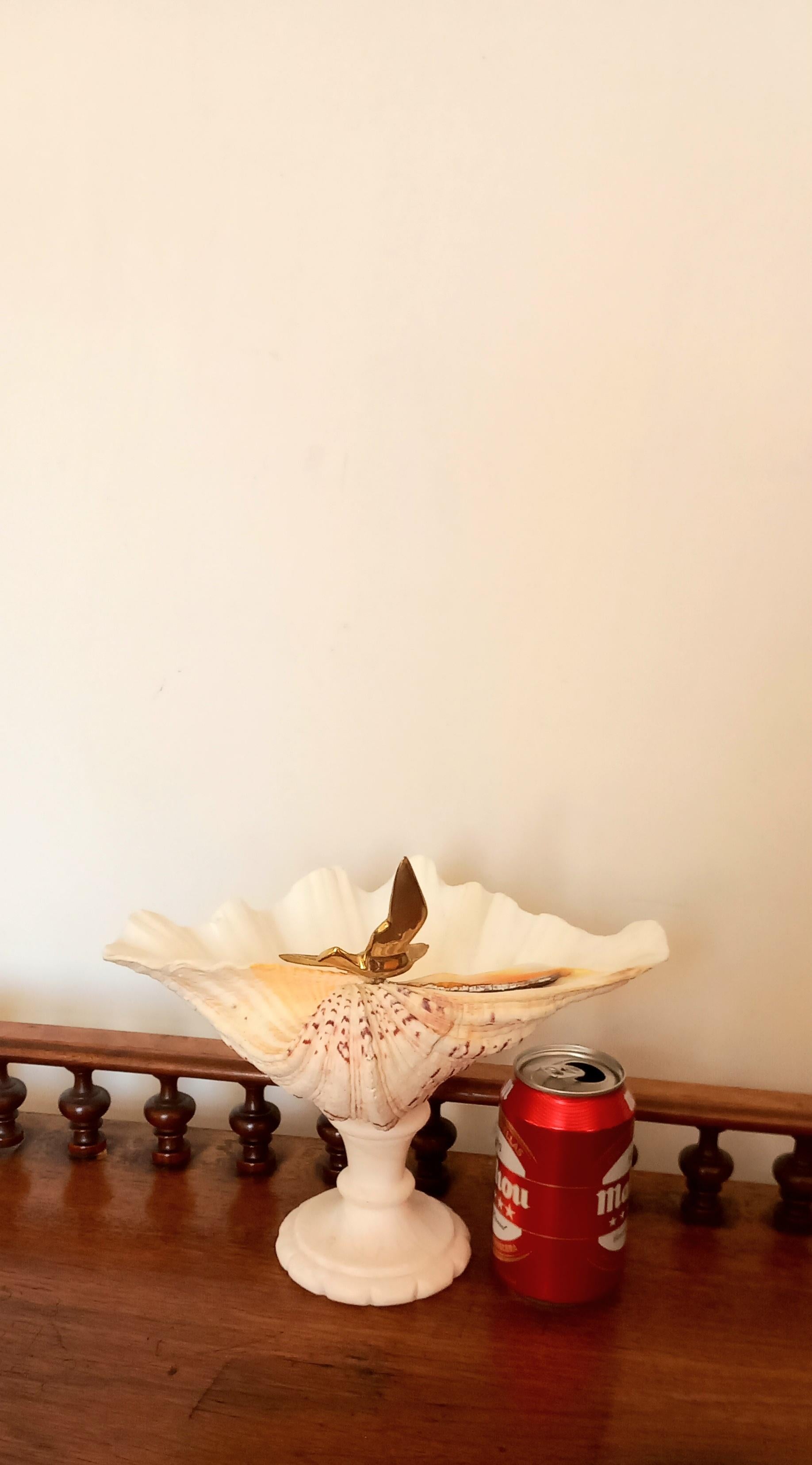  Muschel Natürliches Exemplar  Mit weißem Marmorsockel aus Bronze, Vogel kann entfernt werden im Angebot 2