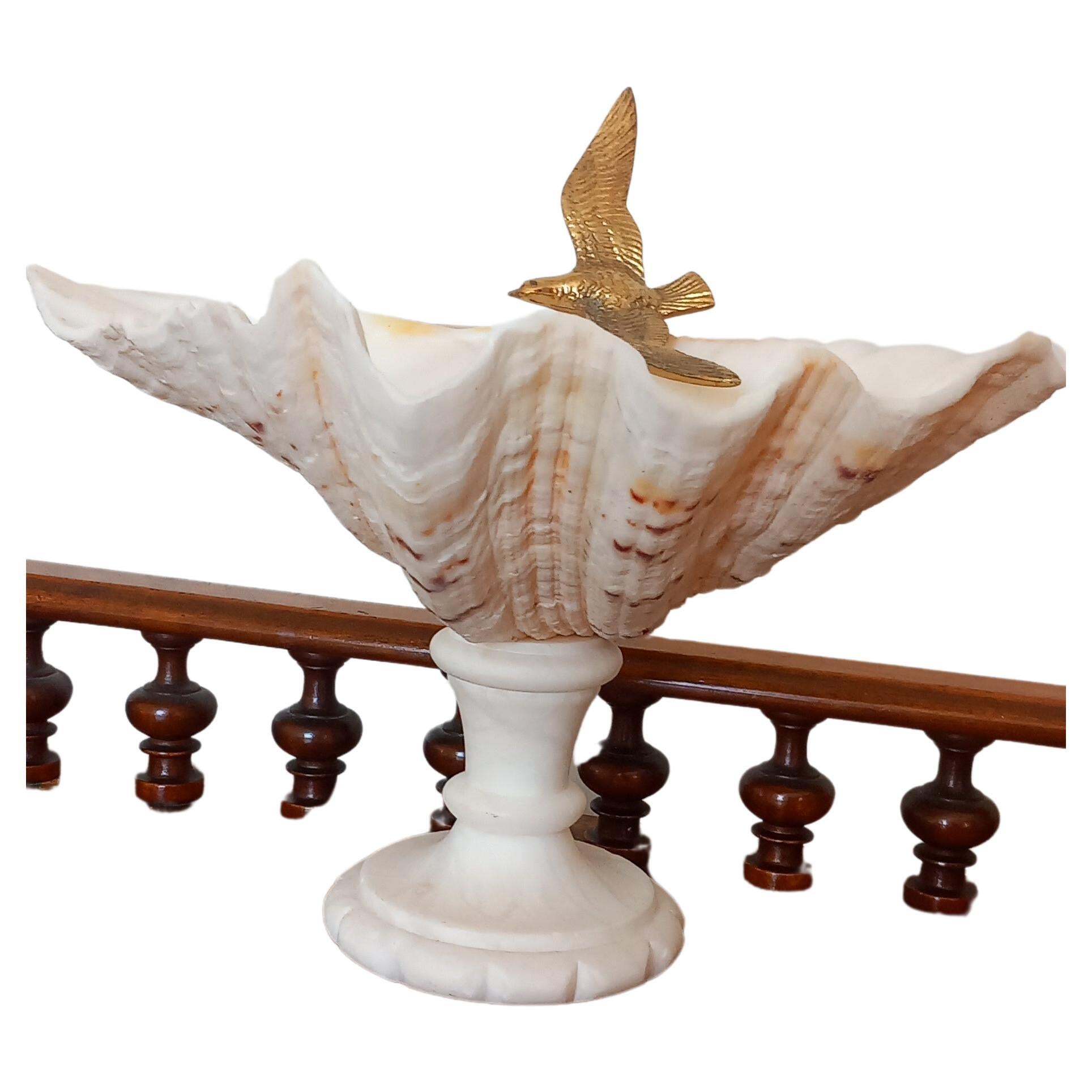  Spécimen naturel de coquillage  Avec piédestal en marbre blanc, oiseau en bronze peut être retiré en vente 2