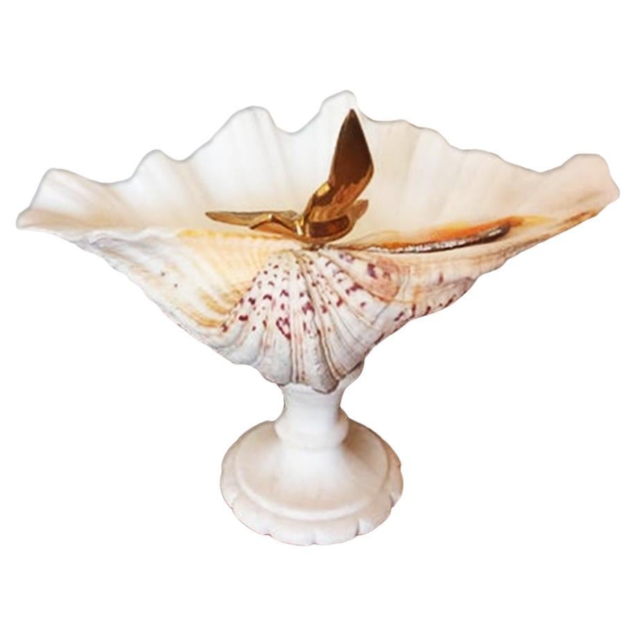  Shell Natural Specimen  With White Marble Pedestal Bronze Bird Can Be Removed For Sale