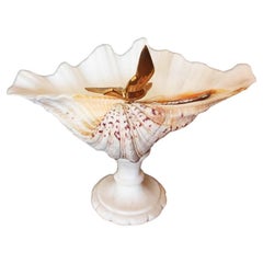 Vintage  Shell Natural Specimen  With White Marble Pedestal Bronze Bird Can Be Removed