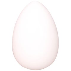 Big Egg Lamp