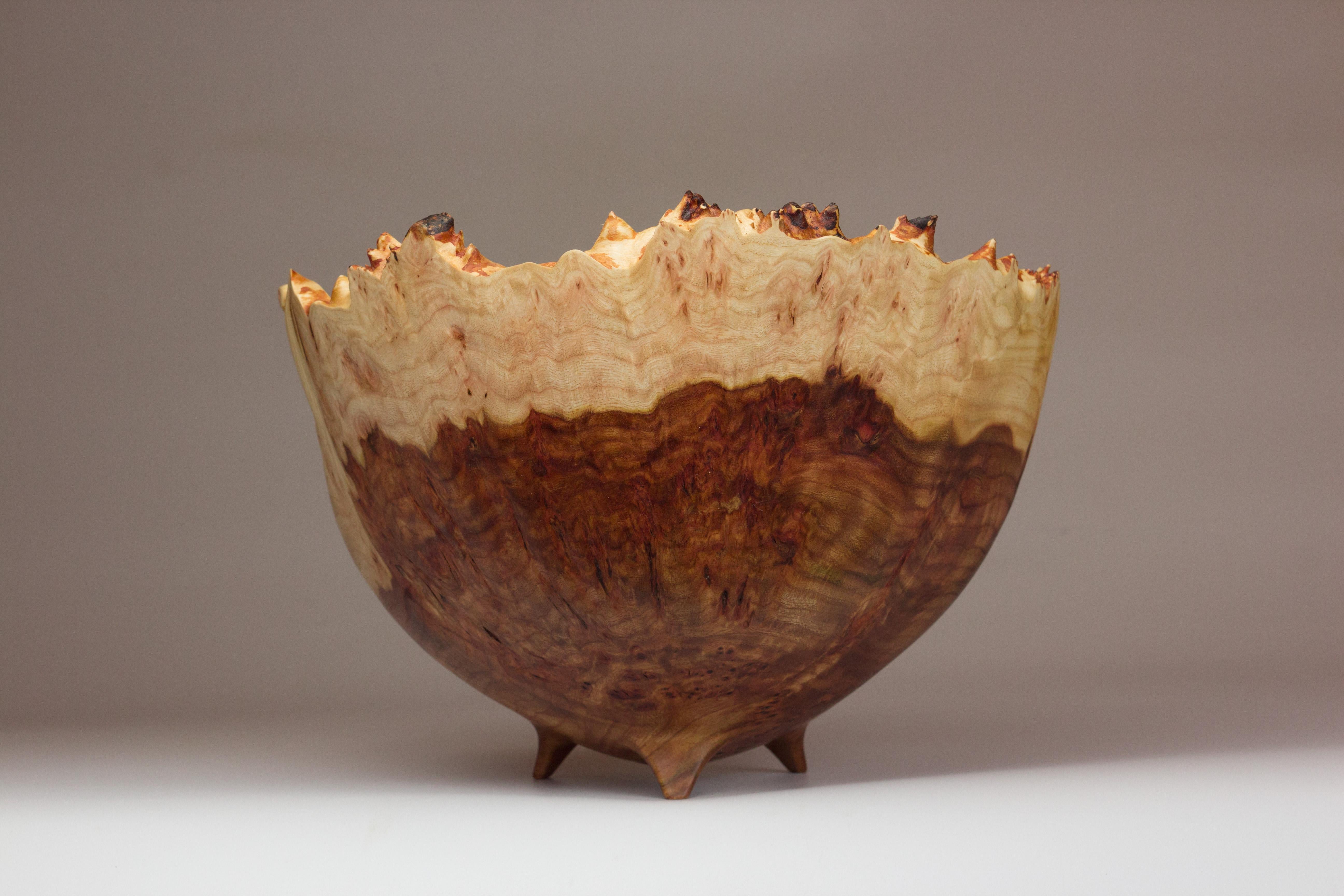 Modern Big Elm Burl Bowl by Vlad Droz