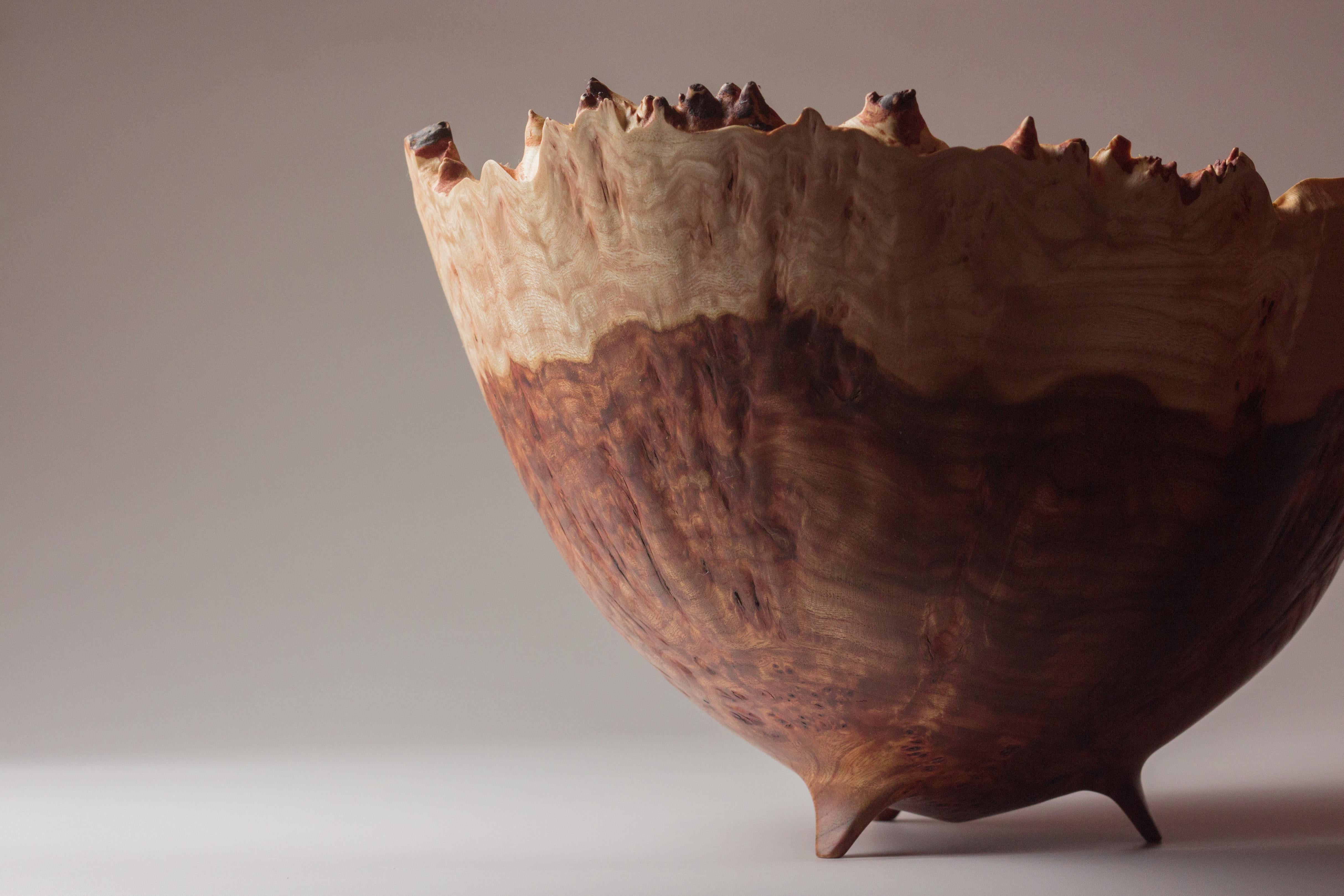 Russian Big Elm Burl Bowl by Vlad Droz