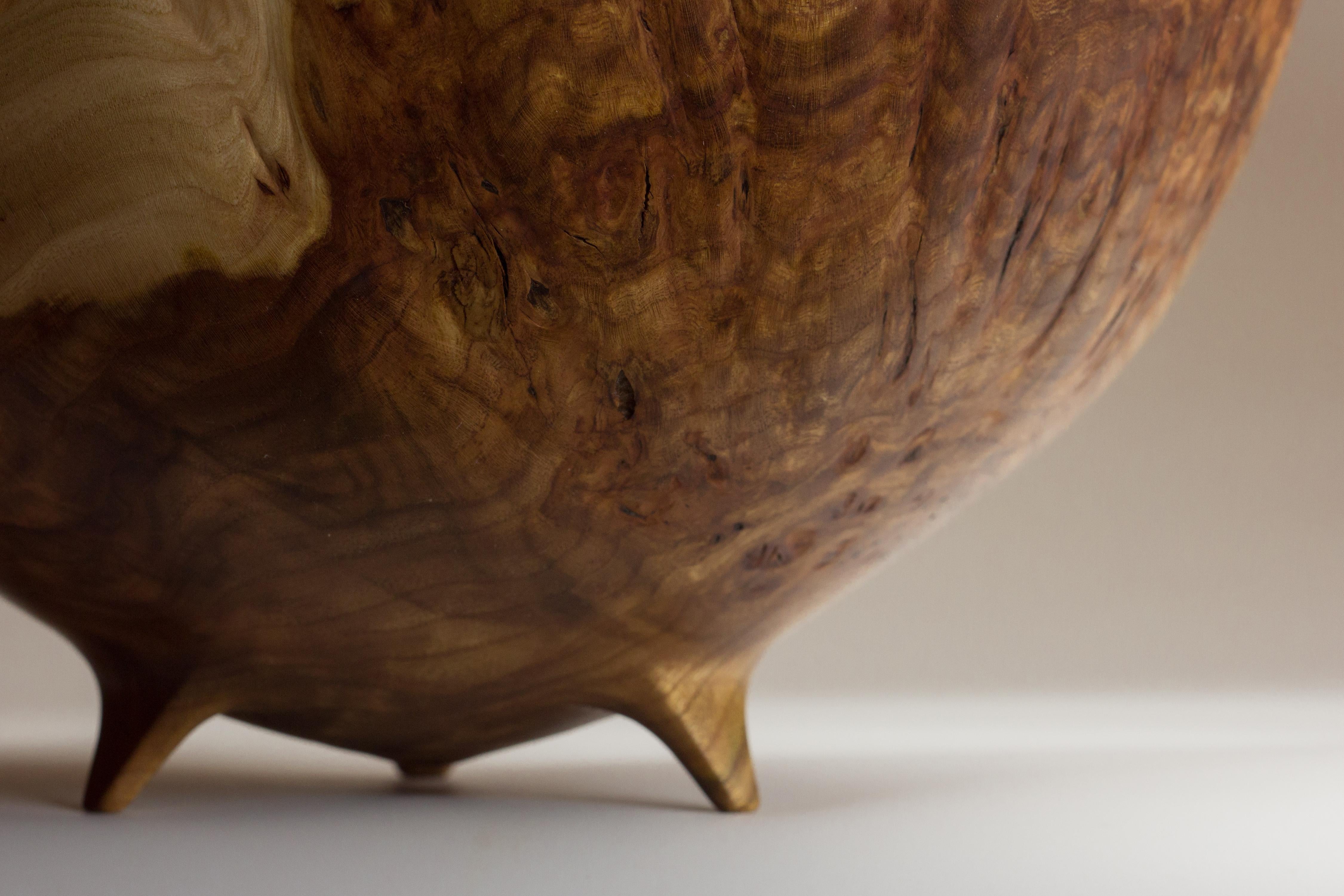 Big Elm Burl Bowl by Vlad Droz In New Condition In Geneve, CH