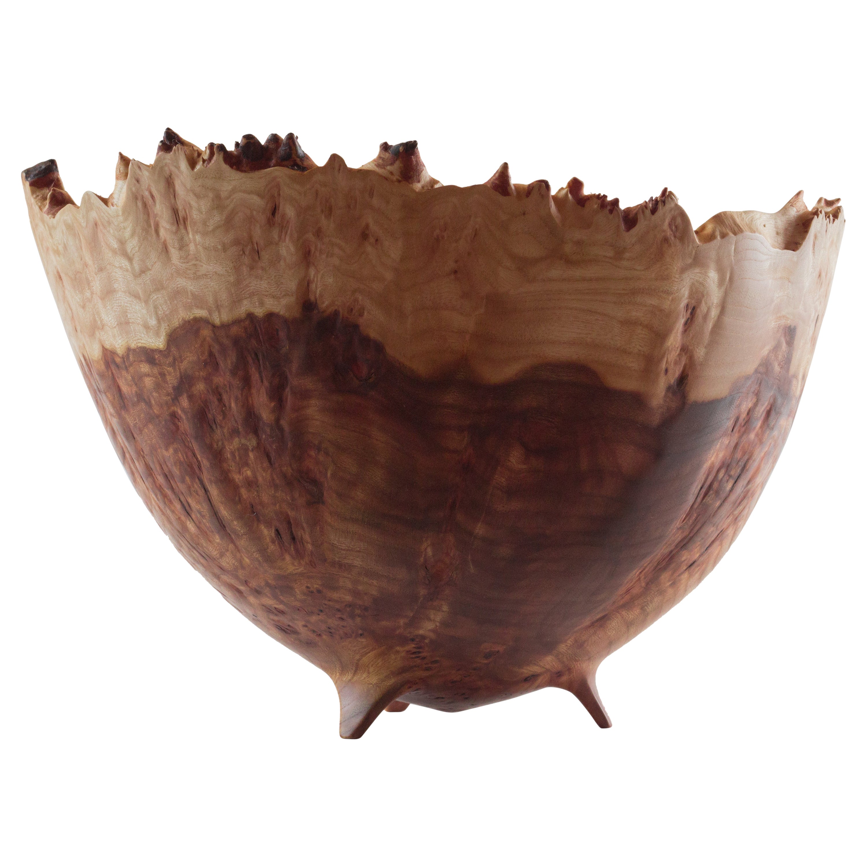 Big Elm Burl Bowl by Vlad Droz