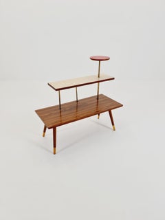 Big German Plant Stand, Colorful, Minimalist Indoor Plant Stand, 1950