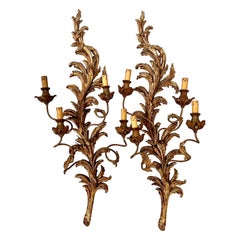 Big Gold Wall Lamps Pair of Lamps Original Liberty 1900s