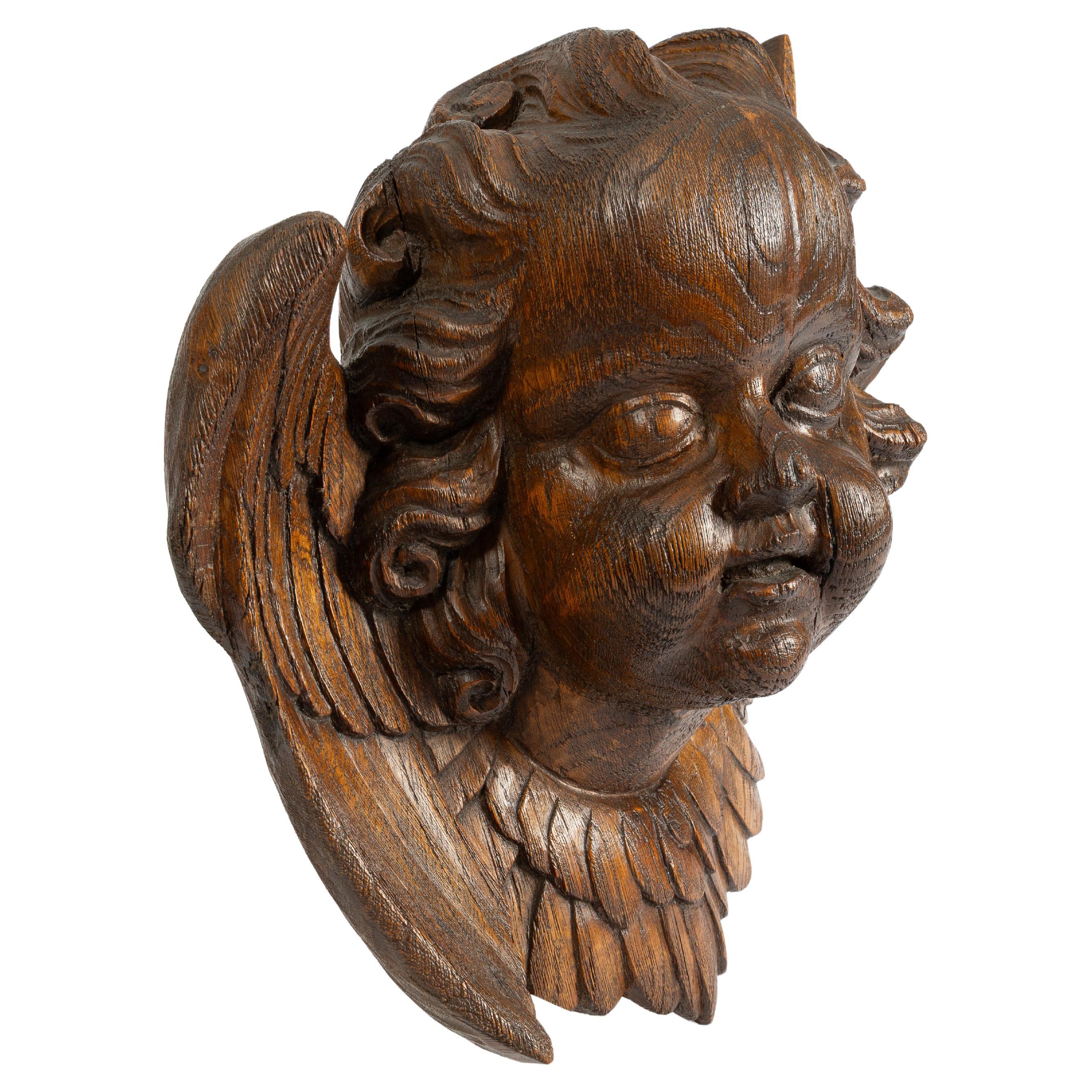 Big handcarved oak angel head or cherub 19th century