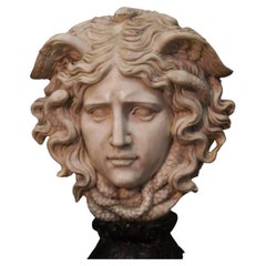 Big Head of Medusa