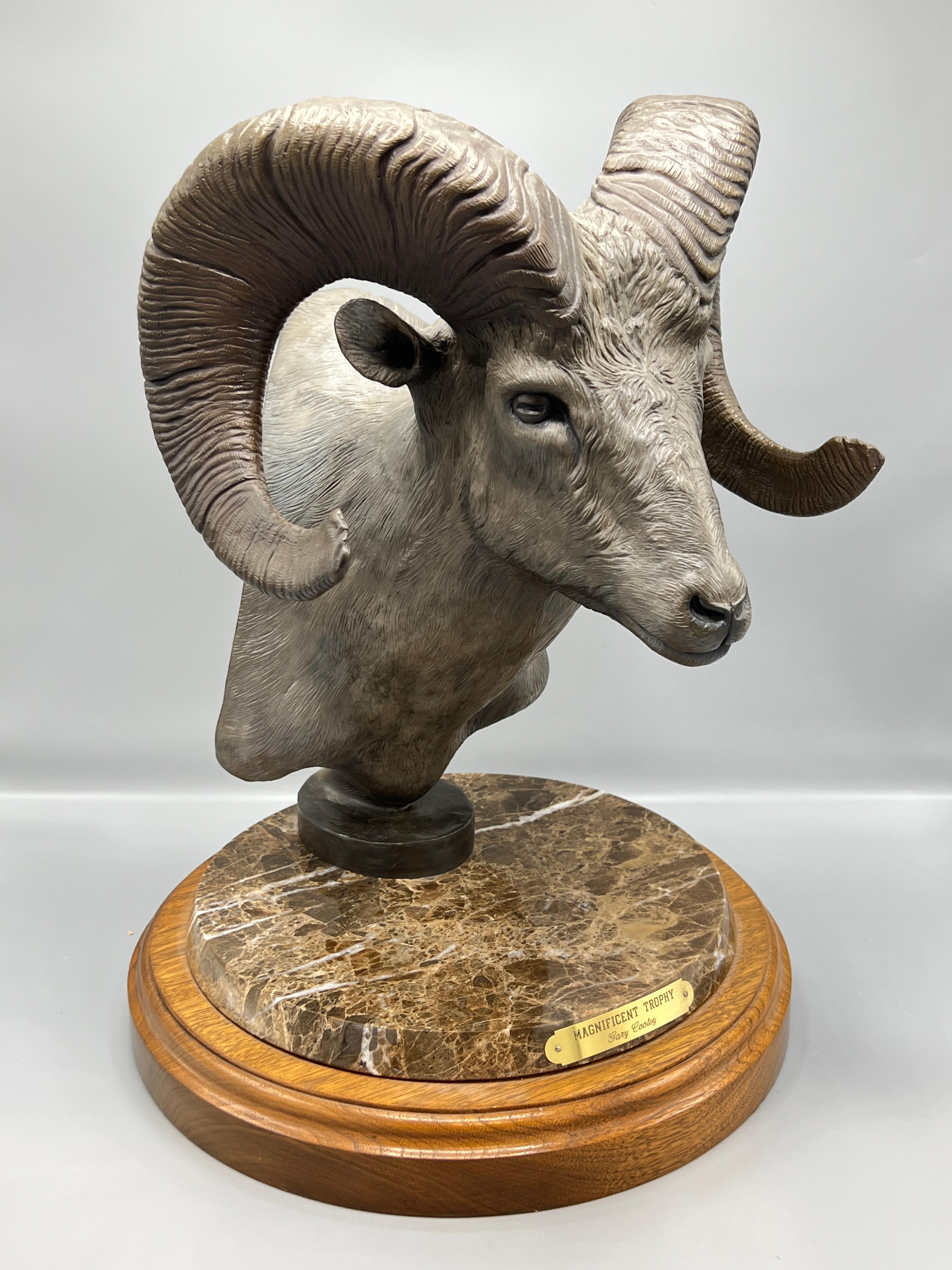 Patinated bronze bust sculpture of a big horned sheep, aka ram, by the American sculptor, Gary Cooley.  Entitled Magnificent Trophy.  Number 9 from limited edition of 18 cast in 1986.
