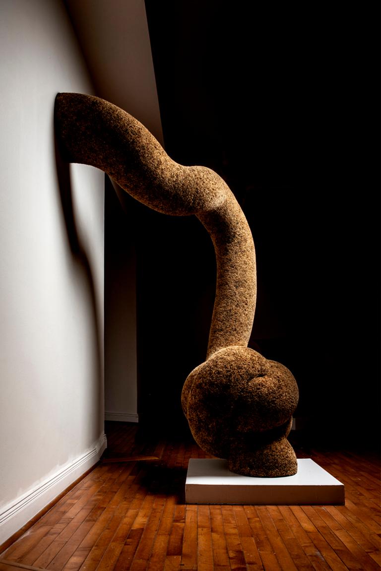 wood knot sculpture