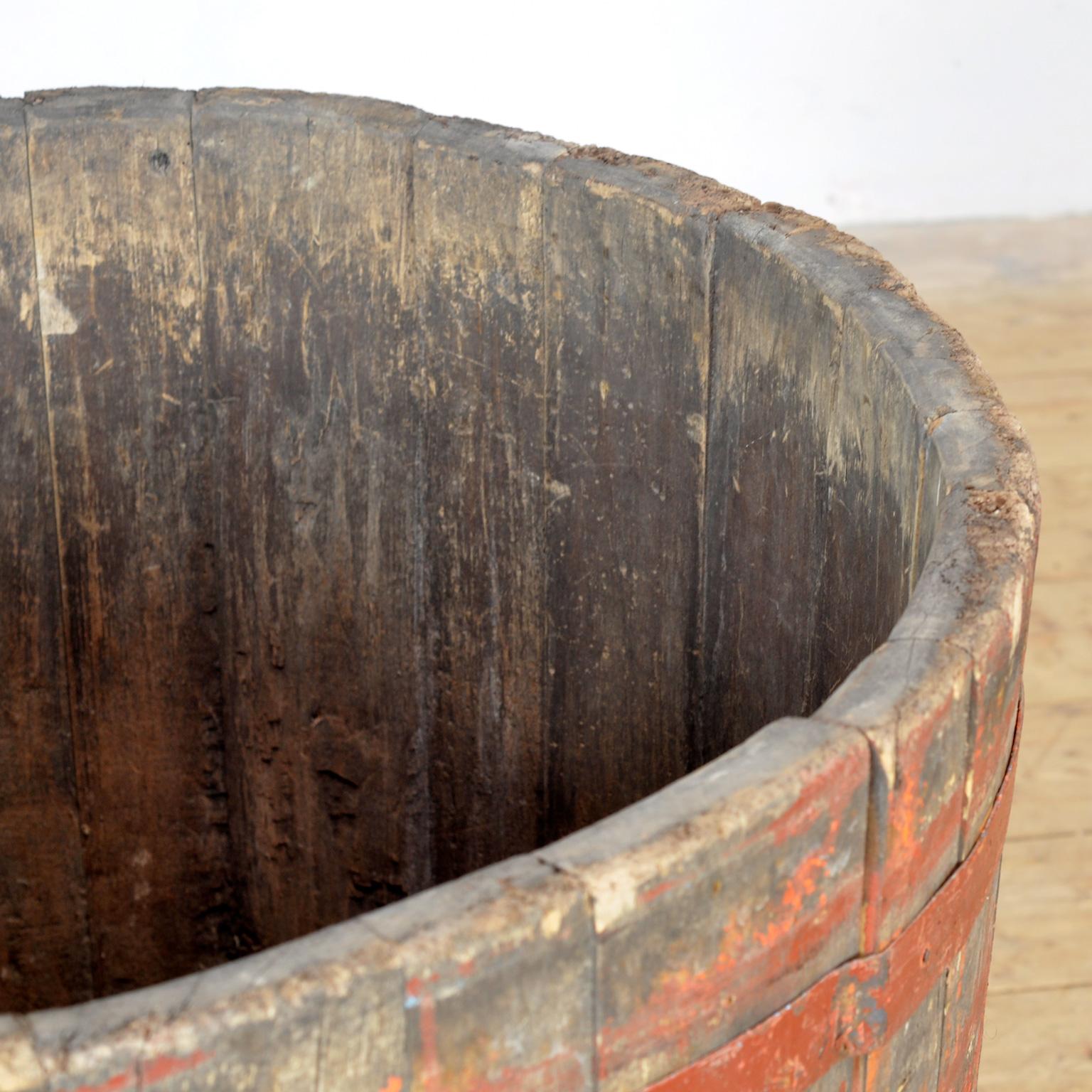 French Big Oak barrel/planter, circa 1910 For Sale