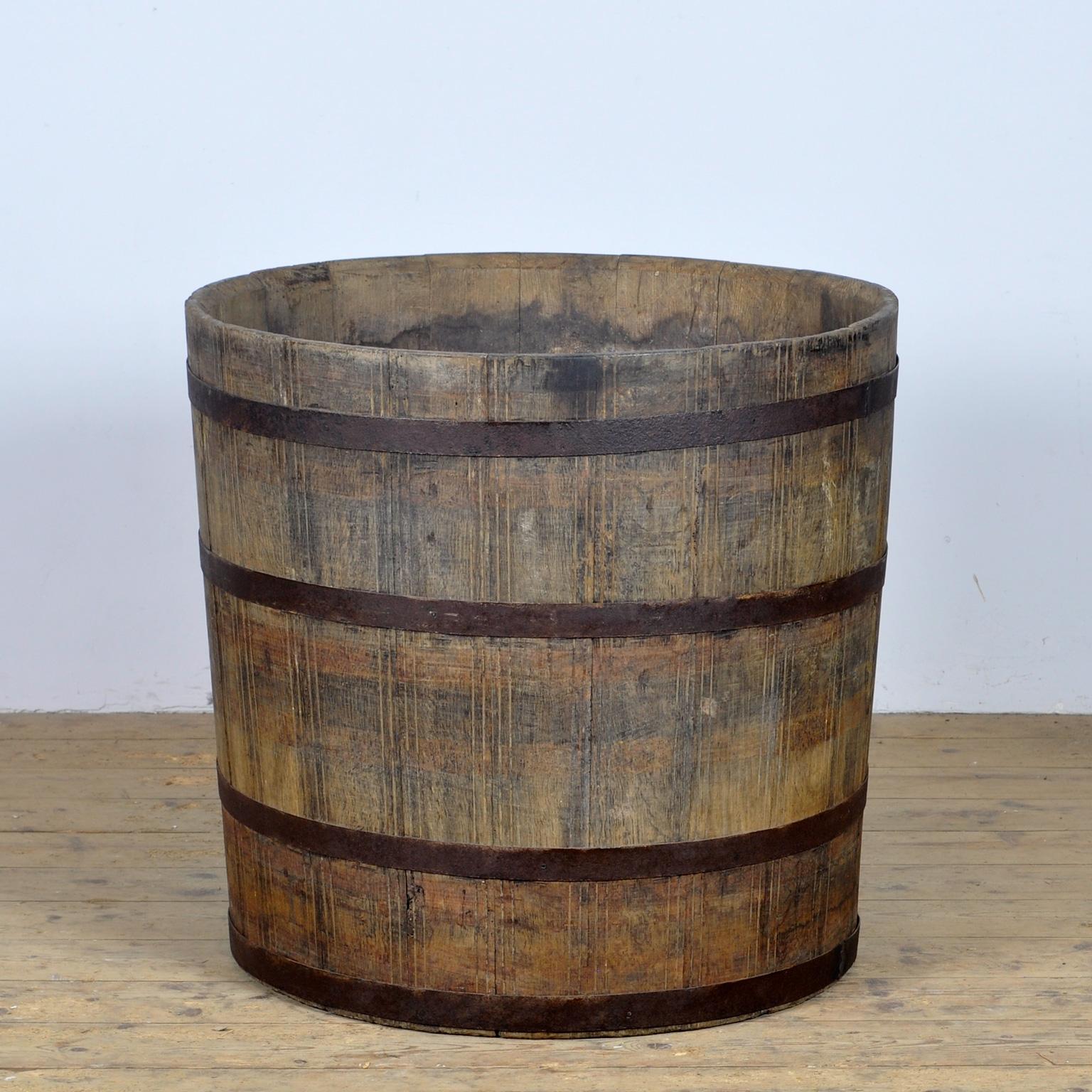  Oak barrelled planter, with revited iron bands to secure. This barrel was used for the storage of grain or corn. Circa 1900. 