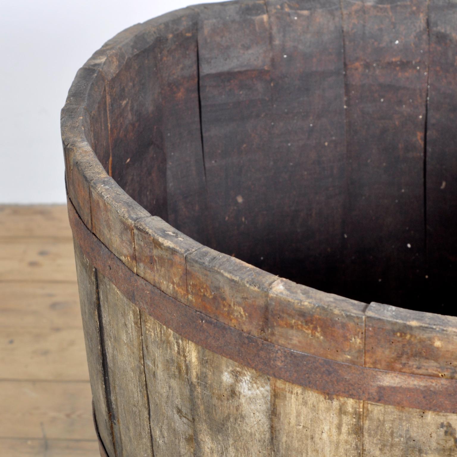 Industrial Big Oak Barrelled Planter Circa 1900