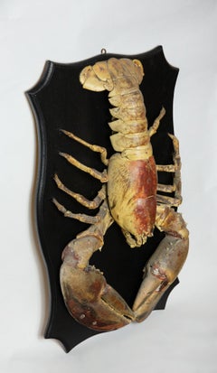 Big Ol' Lobster 'Vintage Hundred Year Old Lobster on Wood Plaque'