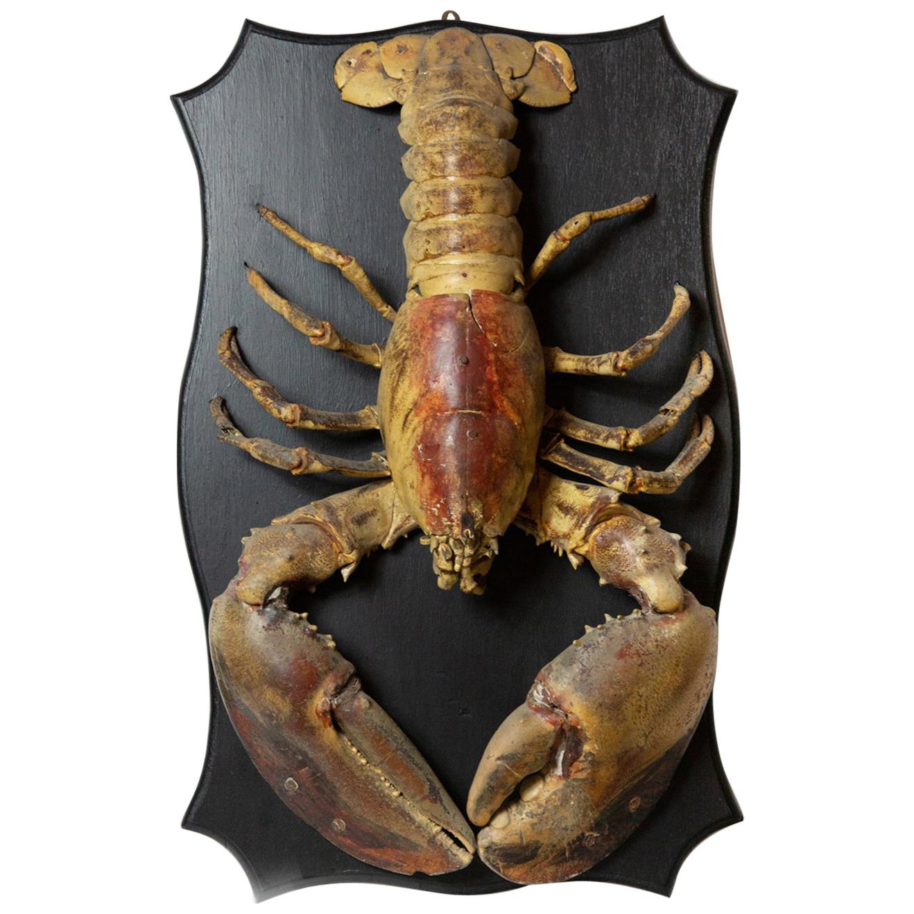 Big Ol' Lobster 'Vintage Hundred Year Old Lobster on Wood Plaque'