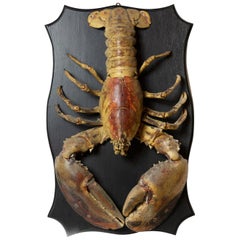 Big Ol' Lobster 'Vintage Hundred Year Old Lobster on Wood Plaque'